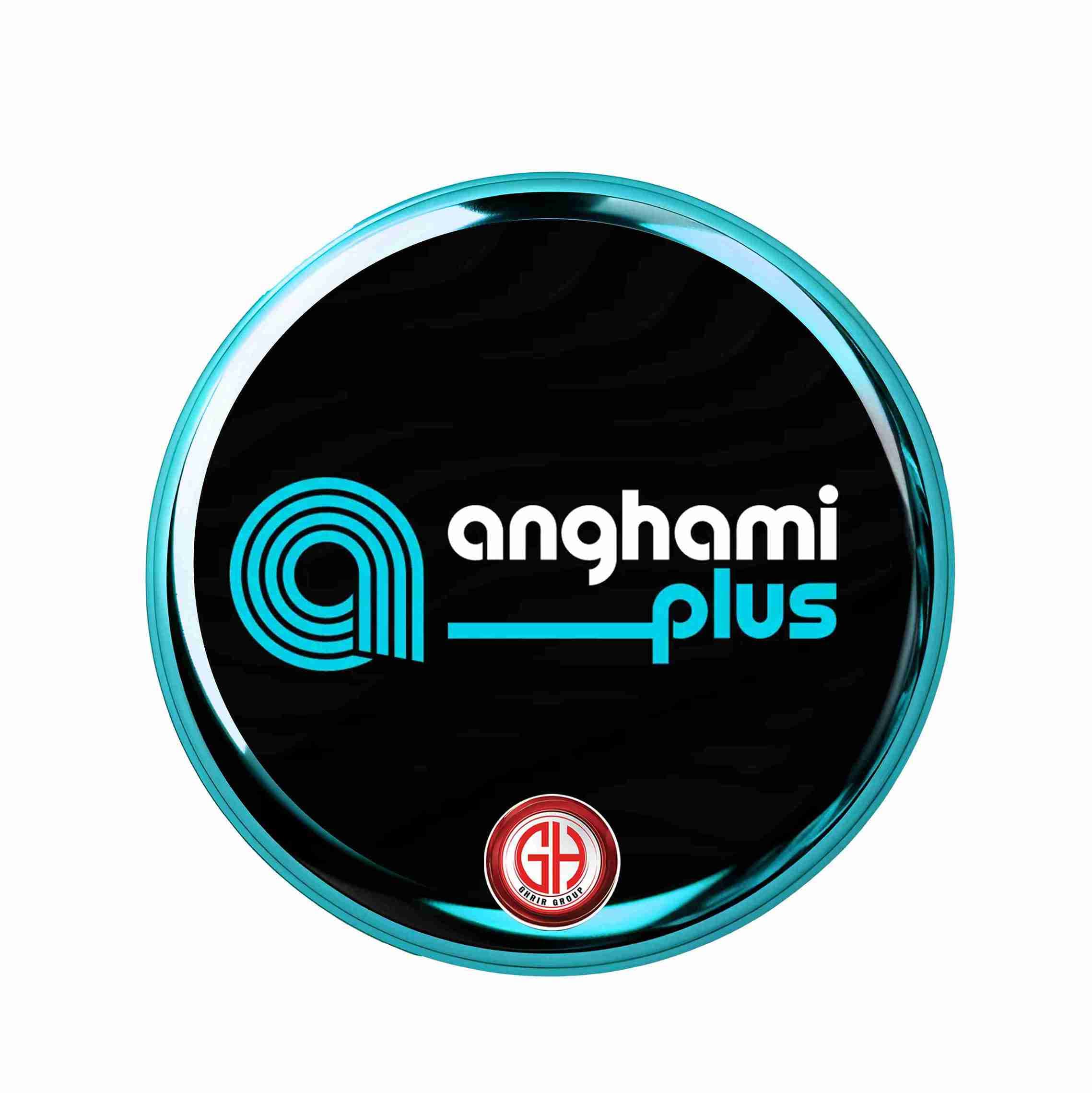 Anghami Plus 1 y