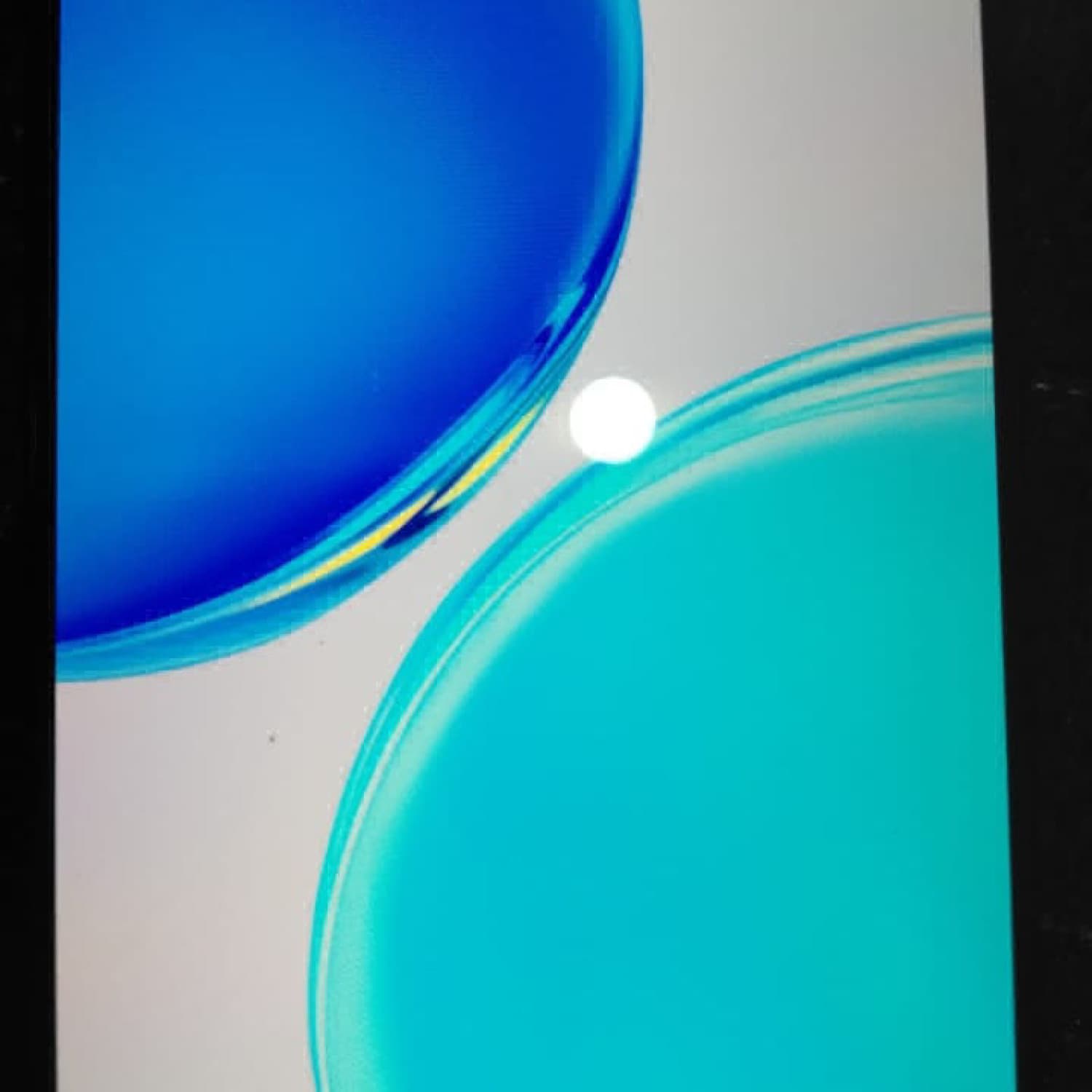 HONOR X8 D
