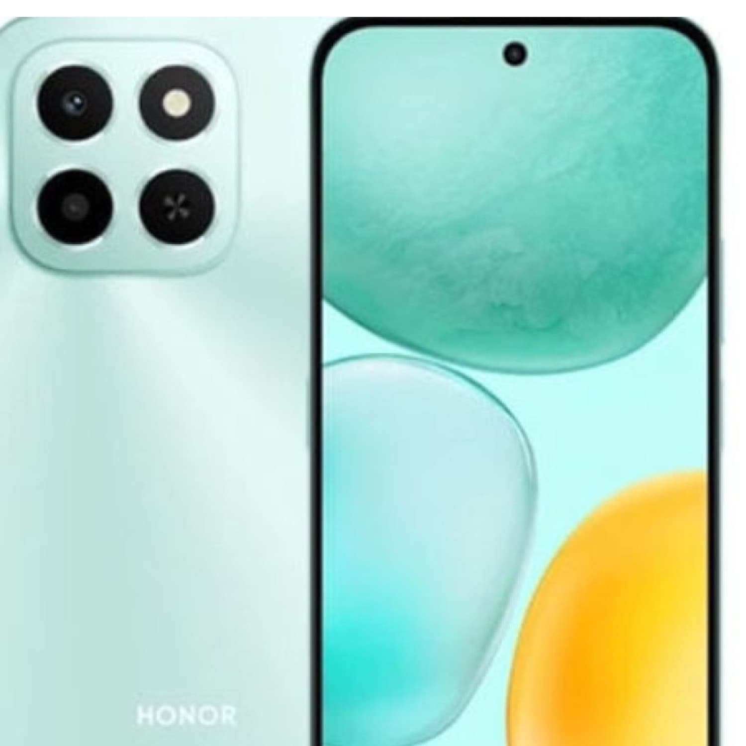 HONOR X6 C
