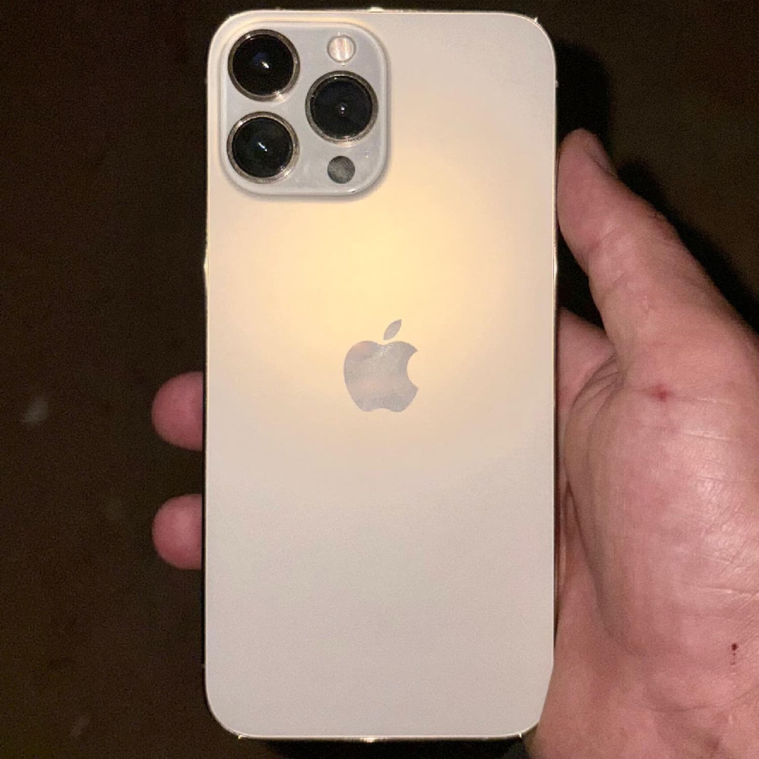 IPHONE 13 PRO MAX
