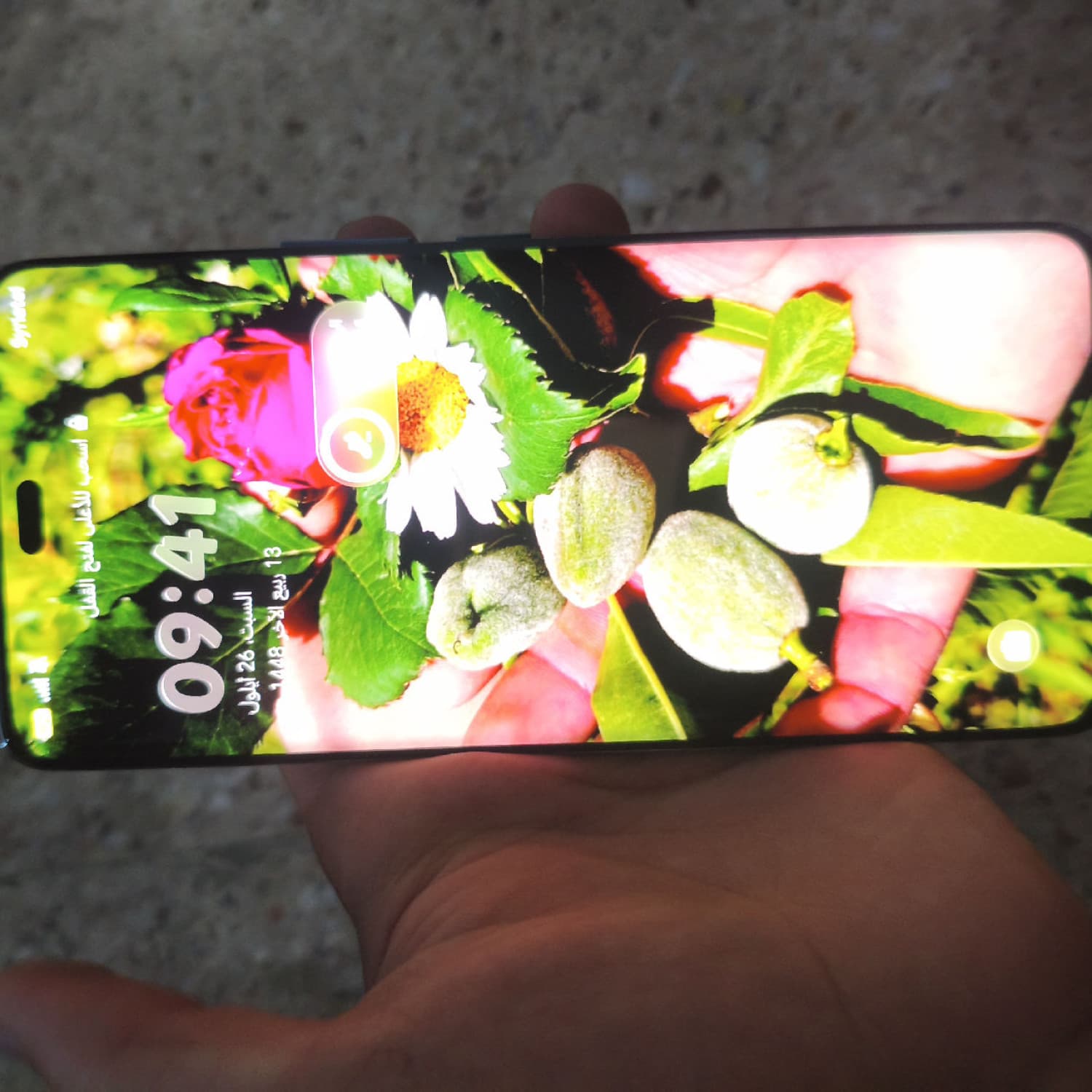 HONOR X9 C