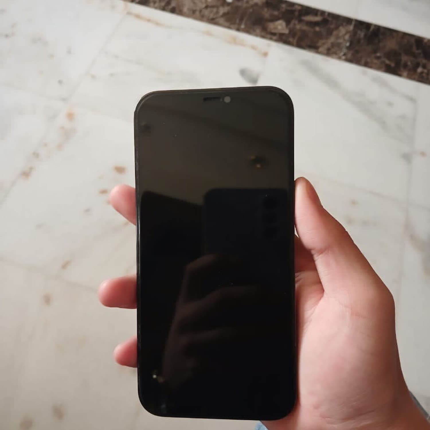 IPHONE 12 PRO MAX