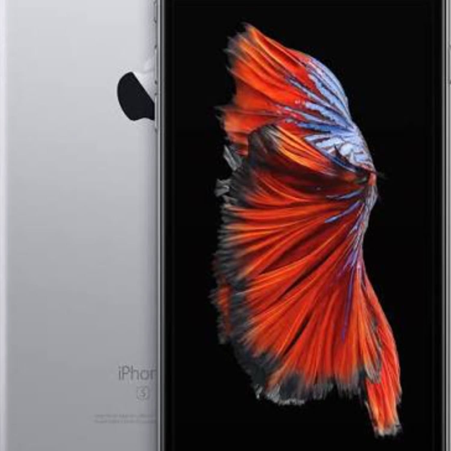 IPHONE 6s